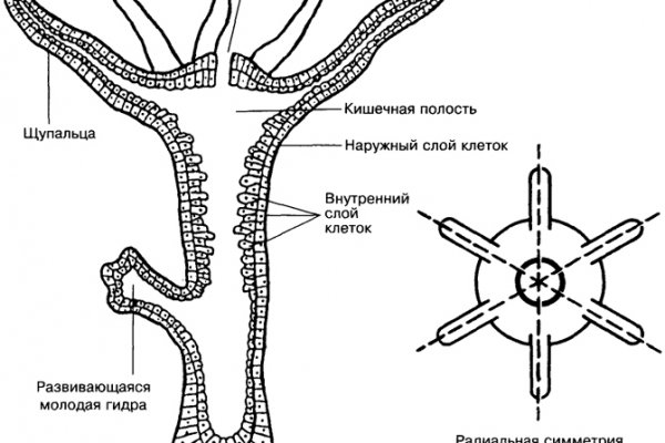 Kraken ссылка на сайт тор