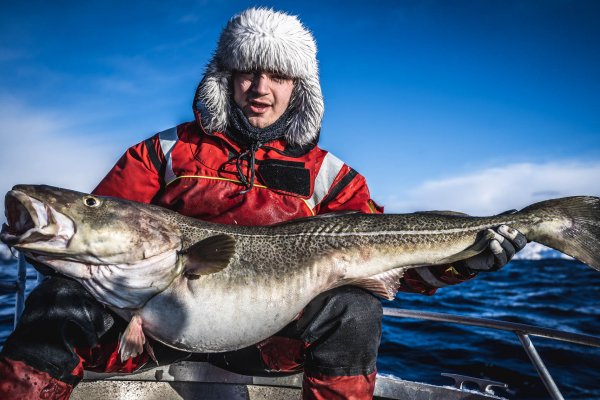 Кракен сайт официальный kraken014 com