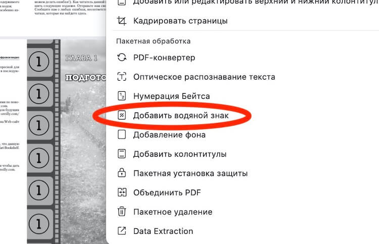 Kraken рабочий