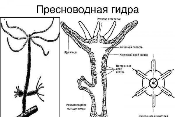 Кракен ru